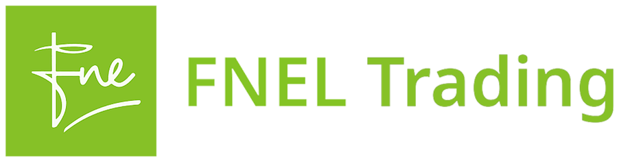 First National Equities Limited / FNEL